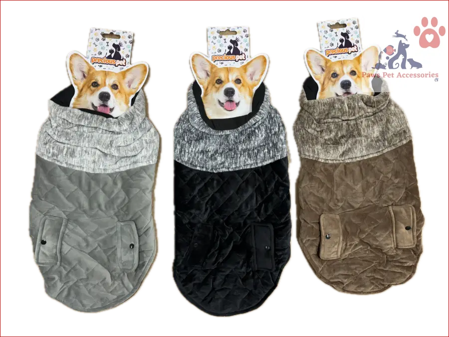 Three happy Corgis in cozy quilted dog jackets show off stylish winter pet clothes vests