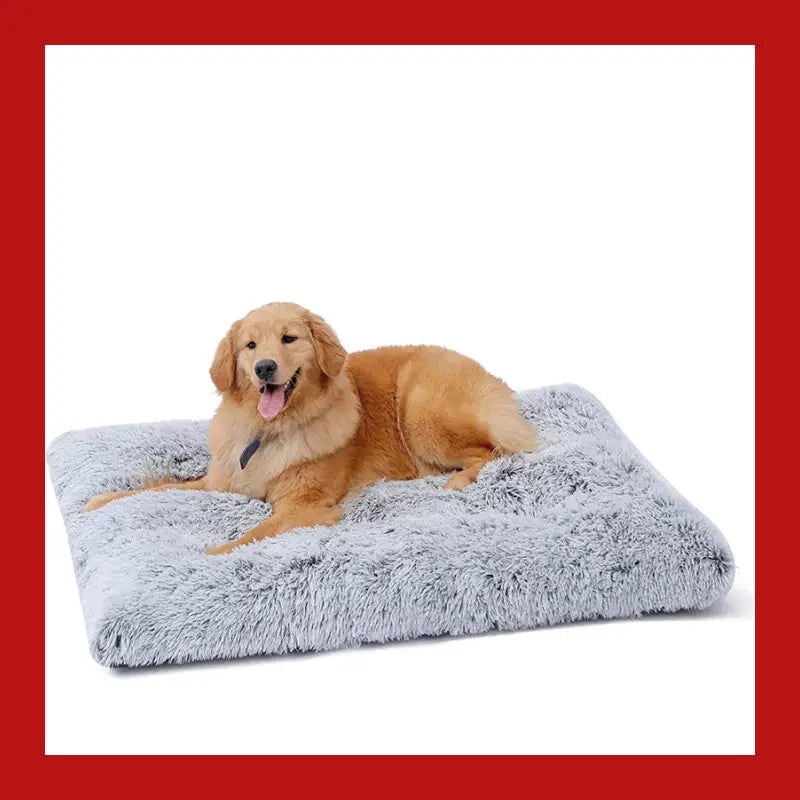 Warm and Fluffy Long-haired Velvet Dog Sleeping Bed - Pet Supplies 17