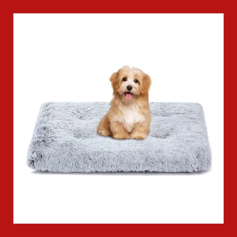 Warm and Fluffy Long-haired Velvet Dog Sleeping Bed - Pet Supplies 14