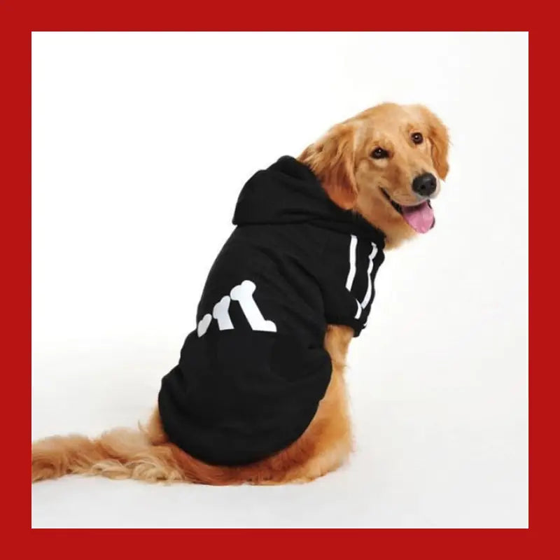 Warm Jacket Clothing for Dog Small Dogs Big Pet French Bulldog Apparel Clothes Winter Large Pets Clothing Coat - Black